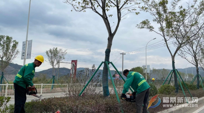 秋冬“梳妆”好时节 园林工人管护忙