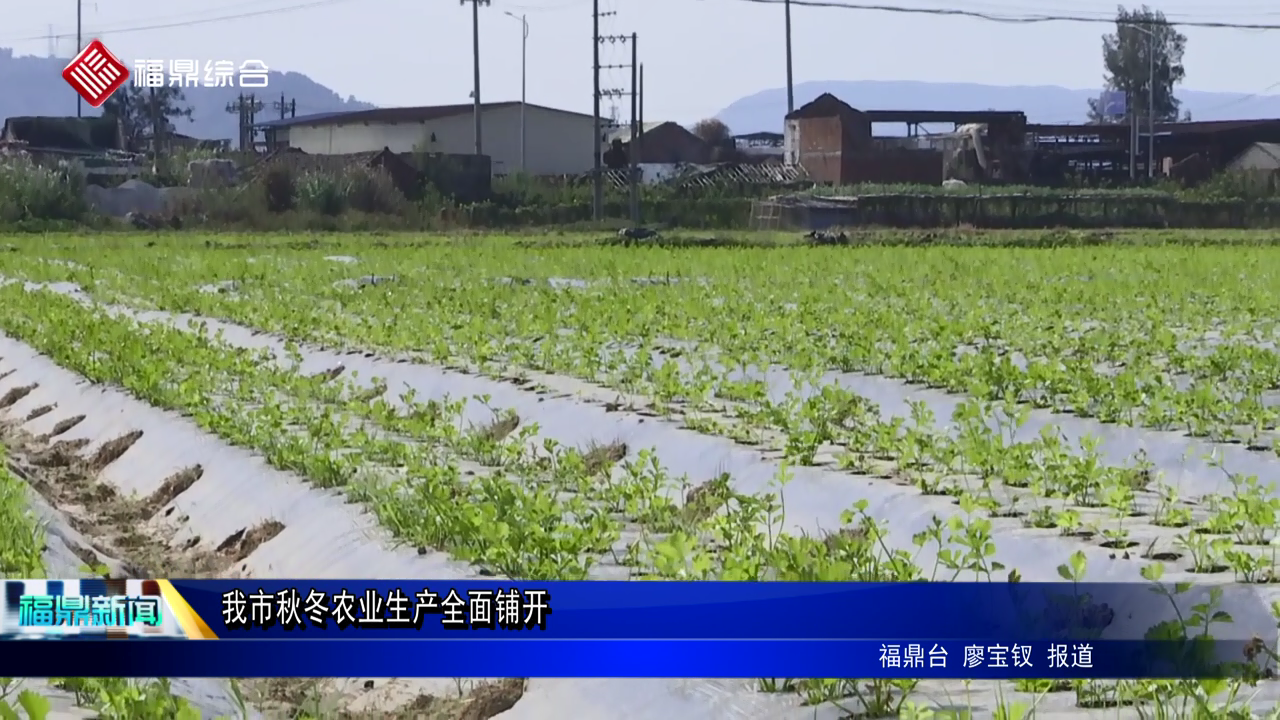 我市秋冬农业生产全面铺开