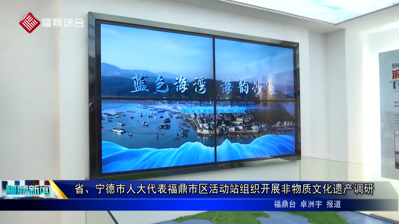 省、宁德市人大代表沙巴体育官网-全球顶级赛事直播-多样盘口玩法市区活动站组织开展非物质文化遗产调研