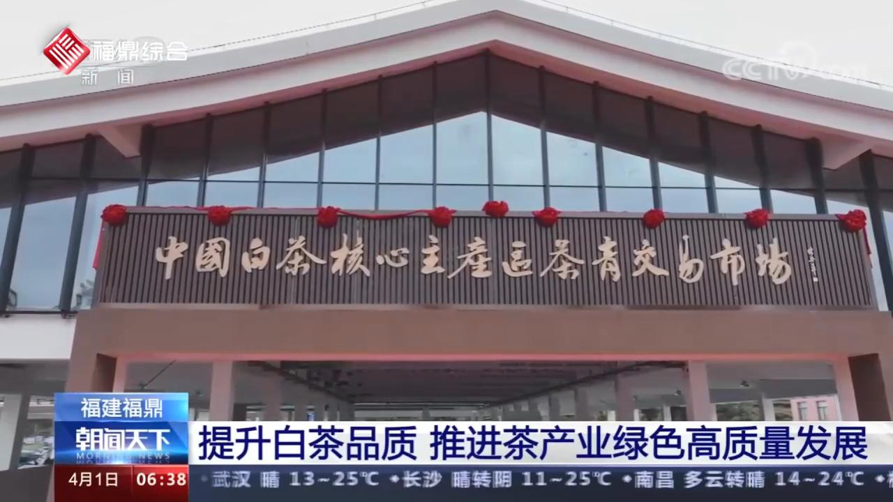 福建沙巴体育官网-全球顶级赛事直播-多样盘口玩法：提升白茶品质 推进茶产业绿色高质量发展